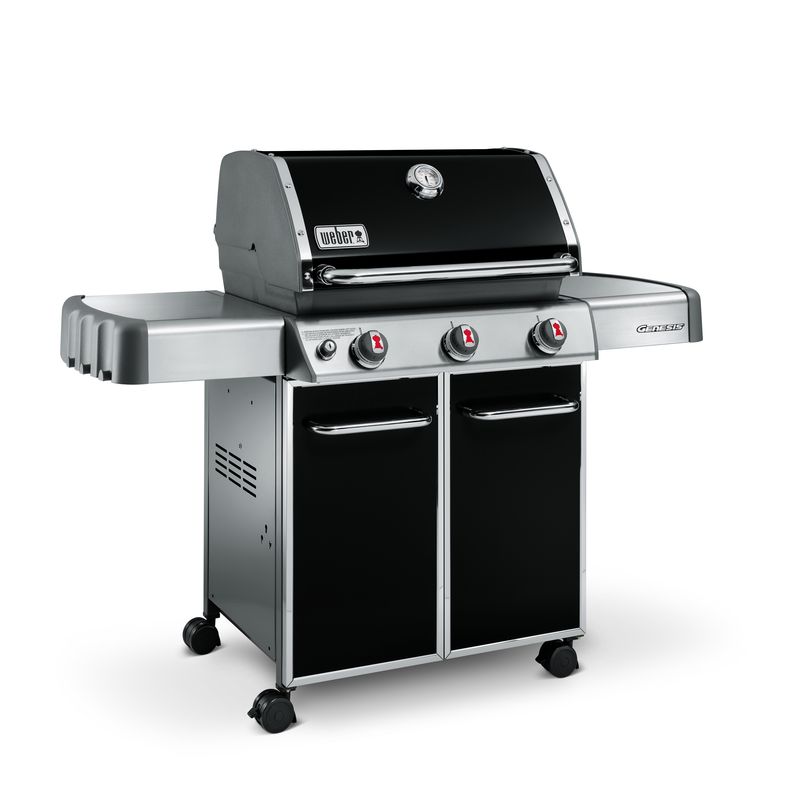 Weber Grill